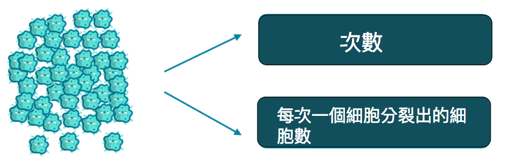 拆解示意圖