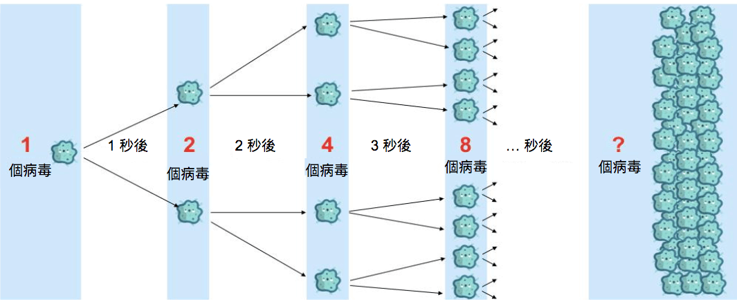 辨識規律