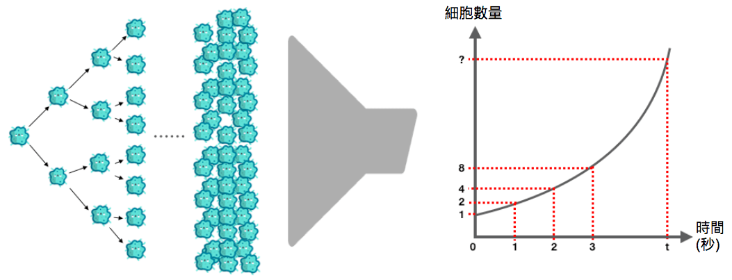 辨識規律示意圖